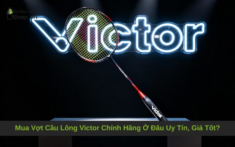 Mua Vợt Cầu Lông Victor Chính Hãng Ở Đâu Uy Tín, Giá Tốt?