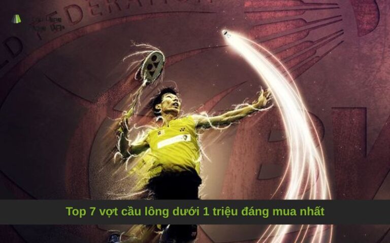 Top 7 vợt cầu lông dưới 1 triệu đáng mua nhất