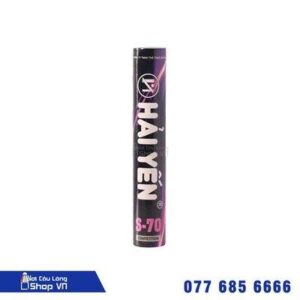 Cầu Hải Yến S70