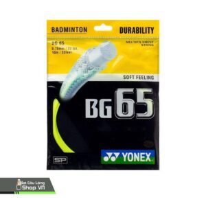 Bg65 – Sp